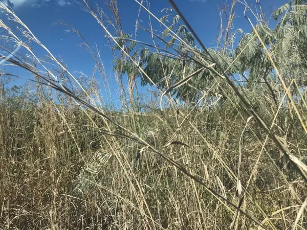 Terreno en venta en Teran, Tuxtla Gutiérrez — foto 2 de 6