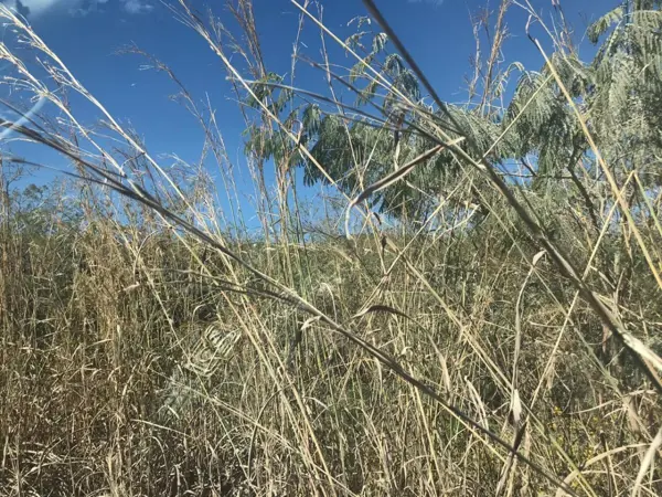 Terreno en venta en Teran, Tuxtla Gutiérrez — foto 2 de 8