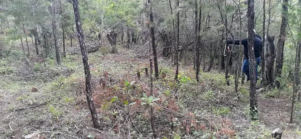 Terreno en venta en La Merced, San Cristóbal de las Casas — foto 3 de 4