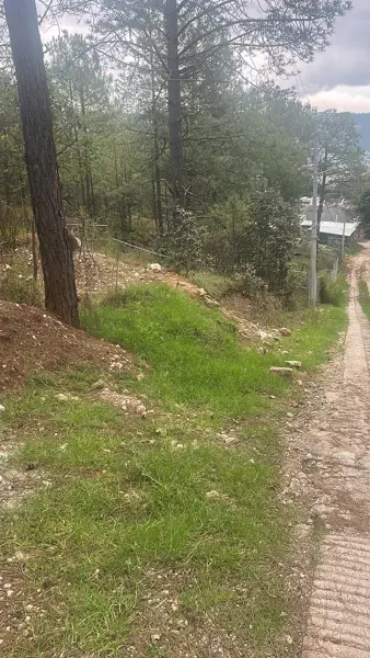 Terreno en venta en Los Alcanfores, San Cristóbal de las Casas — foto 2 de 10