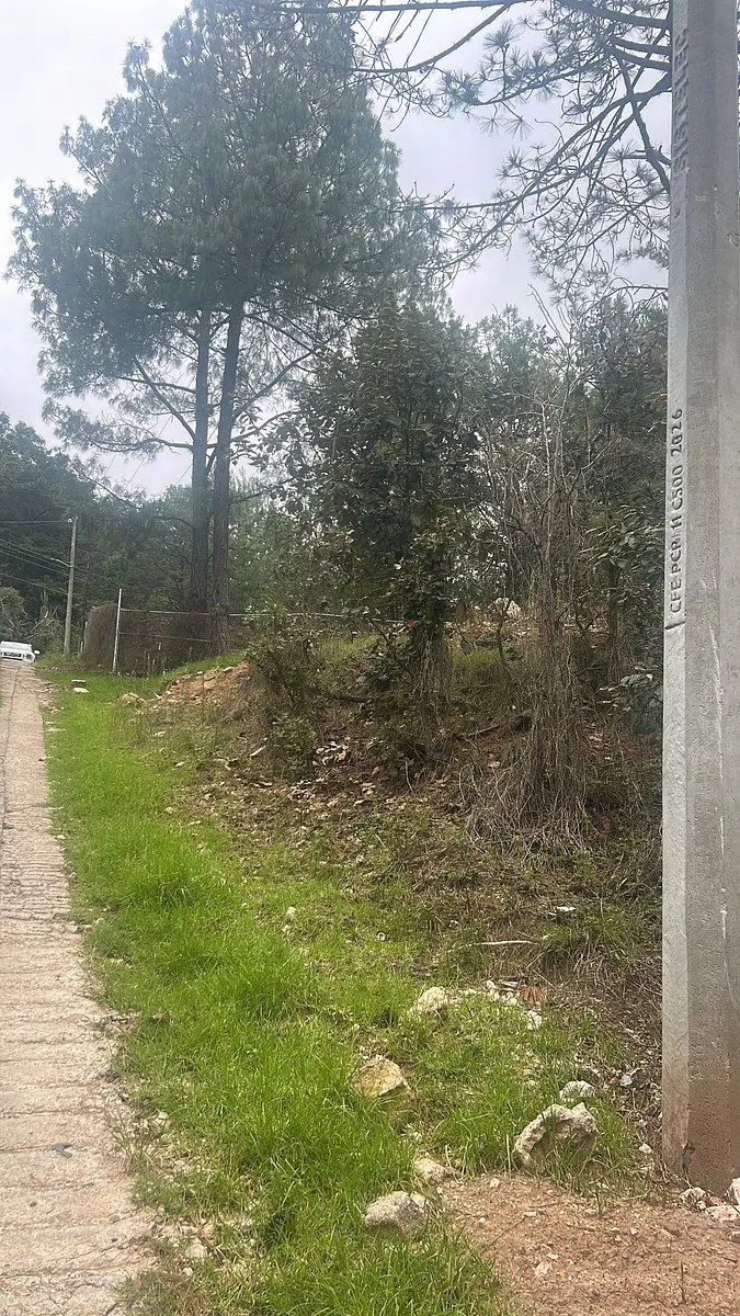 Terreno en venta en Los Alcanfores, San Cristóbal de las Casas — foto 1 de 10