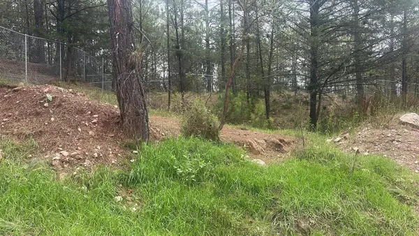 Terreno en venta en Los Alcanfores, San Cristóbal de las Casas — foto 3 de 10