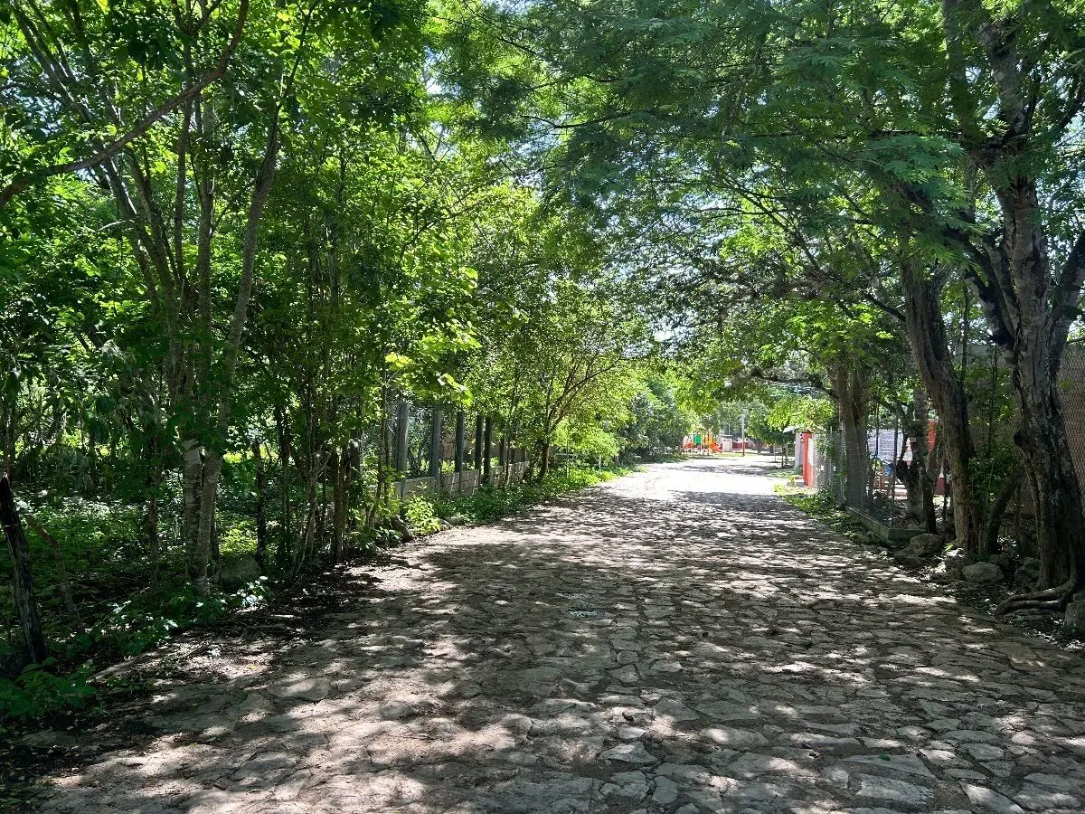 Terreno en venta en San Antonio Bombano, Berriozábal — foto 1 de 11