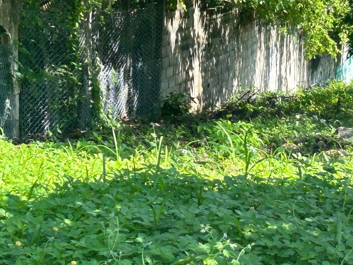 Terreno en renta en Teran, Tuxtla Gutiérrez — foto 1 de 10