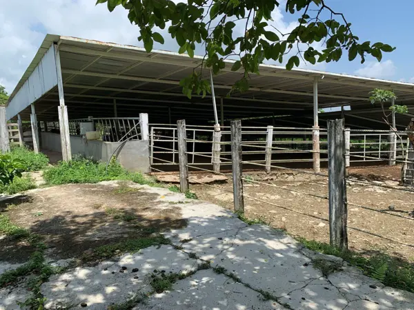 Finca-Rancho en venta en 5 de Mayo, Ocozocoautla de Espinosa — foto 2 de 6