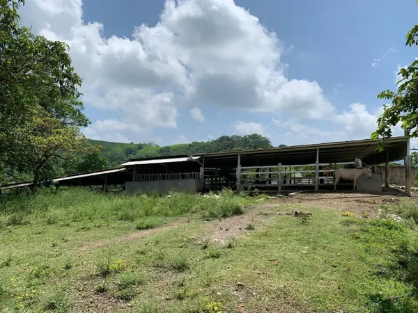 Finca-Rancho en venta en 5 de Mayo, Ocozocoautla de Espinosa — foto 3 de 6