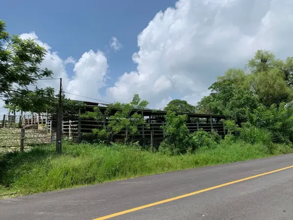 En venta Rancho de 116 Hectáreas Ubicado en la Carretera Ocozocoautla-Apic Pac