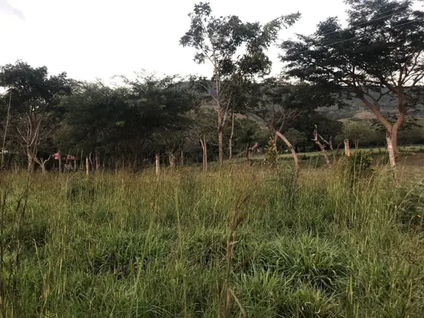 Terreno en venta en Cruz Blanca, Ocozocoautla de Espinosa — foto 2 de 5