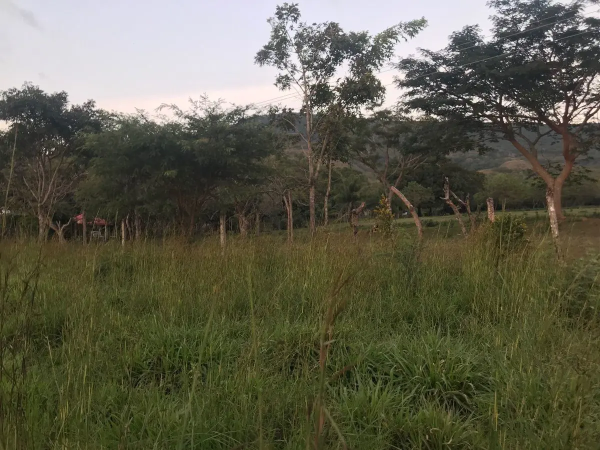 Terreno en venta en Cruz Blanca, Ocozocoautla de Espinosa — foto 1 de 5