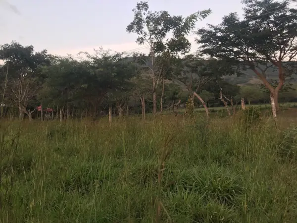 En Venta Terreno Comercial en Ocozocoautla Chiapas, Camino