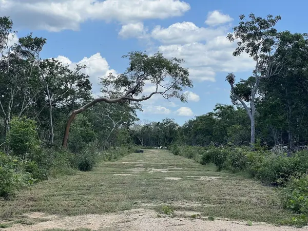 Terreno en venta en Hunucmá, Hunucmá — foto 2 de 10