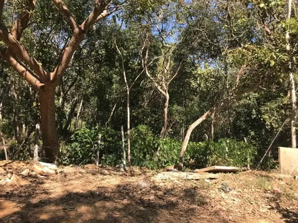 Terreno en venta en Fraccionamiento Don Ventura, San Fernando — foto 2 de 3