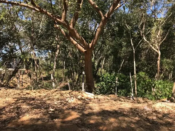 Se Vende Terreno En Don Ventura de contado o financiado