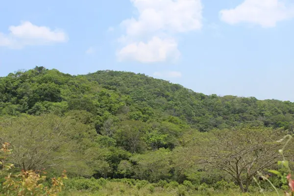 Finca-Rancho en venta en Espinal de Morelos, Ocozocoautla de Espinosa — foto 2 de 35