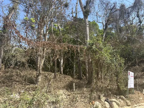 Terreno en venta en San Fernando Centro, San Fernando — foto 3 de 17