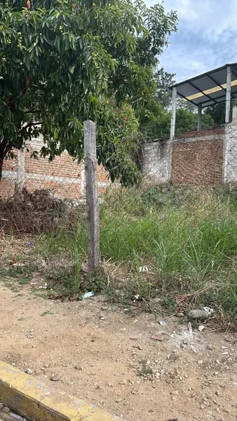 Terreno en renta en Villaflores Centro, Villaflores — foto 3 de 6