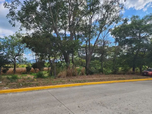 Terreno en venta en La Popular, Villaflores — foto 2 de 13