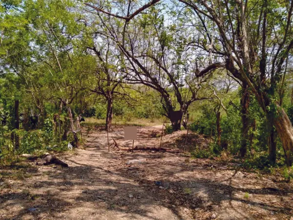 Terreno en venta en Chacamax, Palenque — foto 2 de 4