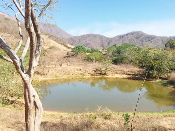 En Venta espectacular rancho apto para siembra y ganadería con Agua permanente!!