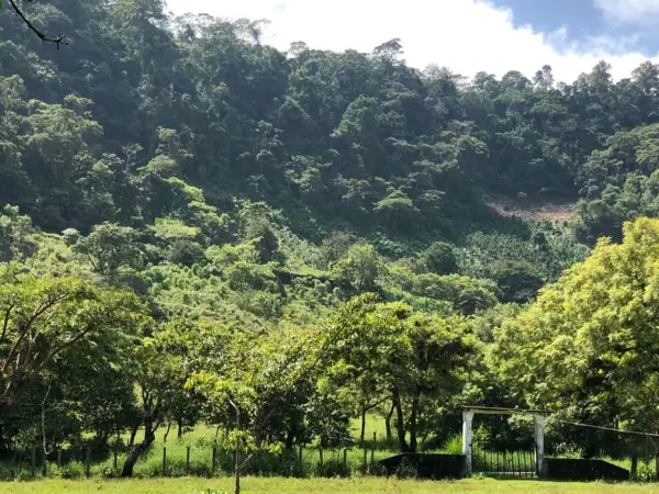 Finca-Rancho en venta en Rayón, Rayón — foto 3 de 7