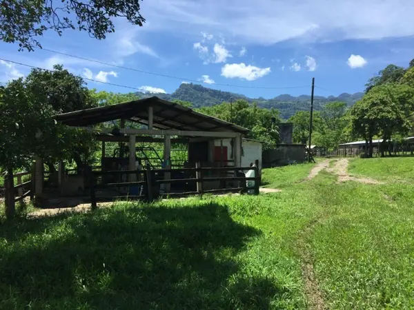 Finca-Rancho en venta en Rayón, Rayón — foto 2 de 7