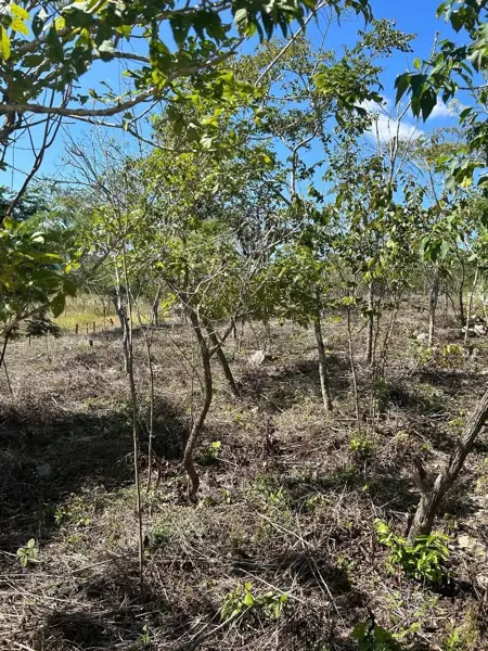 Terreno en venta en Amendu, Berriozábal — foto 2 de 7