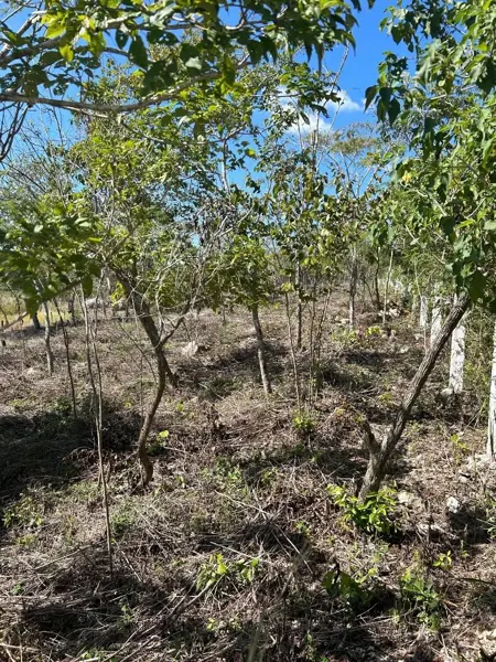 Terreno en venta en Amendu, Berriozábal — foto 3 de 7