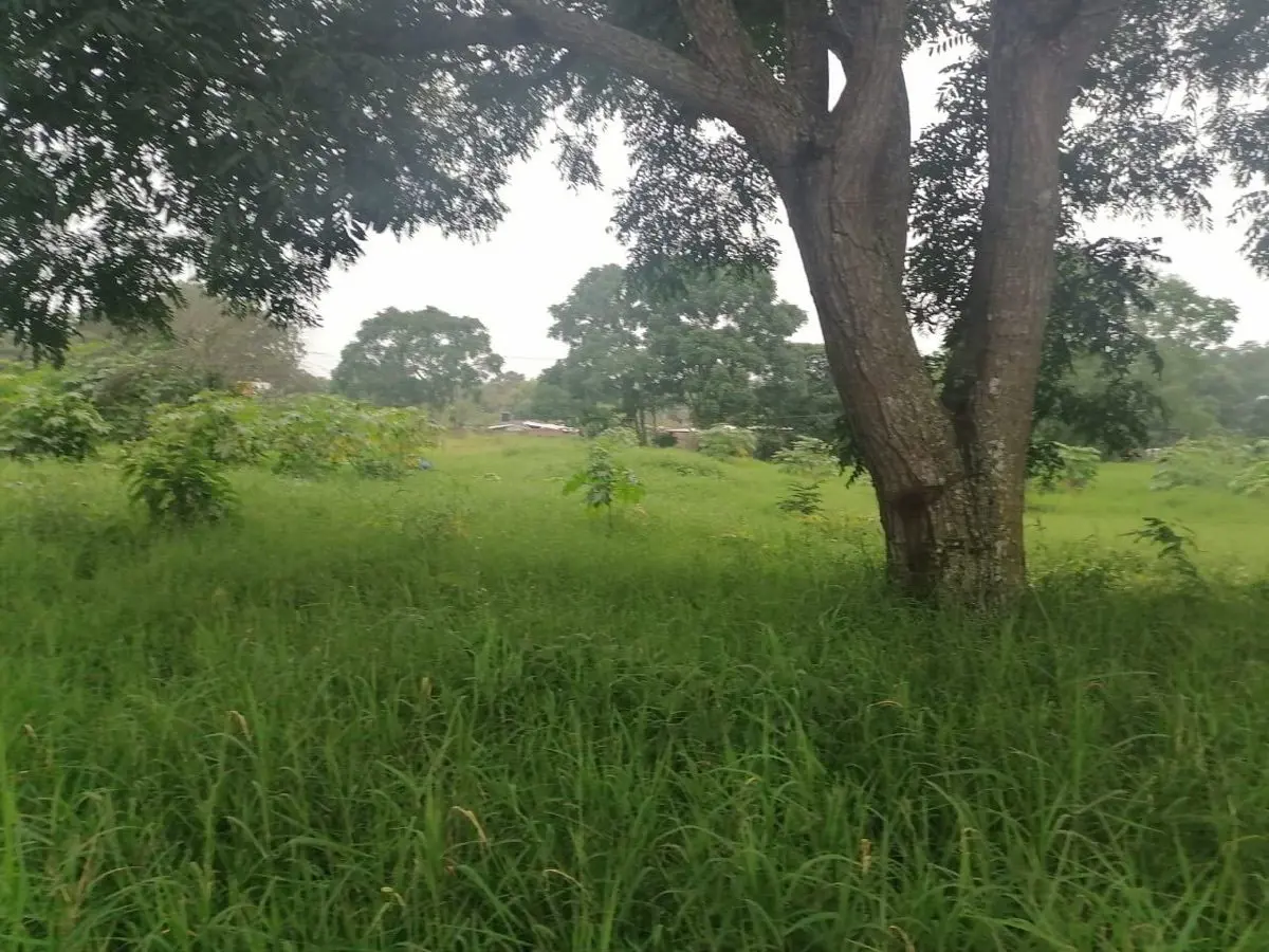 Terreno en venta en Santa Cruz, Berriozábal — foto 1 de 12