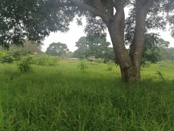 Se Vende la mitad de lote de terrono en Berriozábal SantaCruz