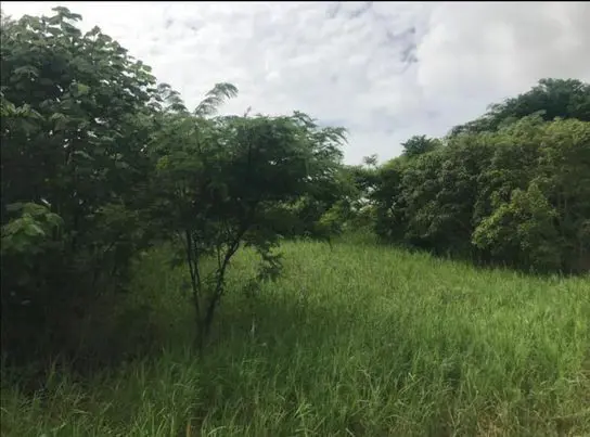 Terreno en venta en Santa Cruz, Berriozábal — foto 3 de 12