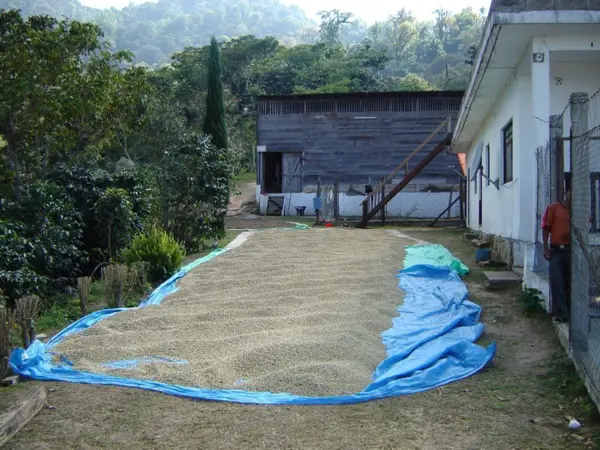 Finca-Rancho en venta en Dolores Jaltenango, La Concordia — foto 2 de 18