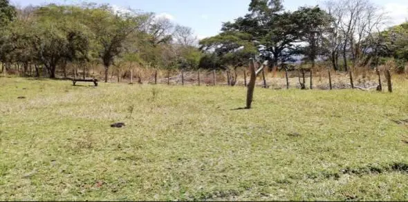 Rancho "Solo Dios", en Gabriel Esquinca, municipio de San Fernando Chiapas.