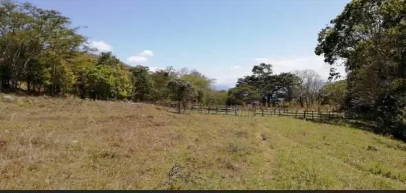 Finca-Rancho en venta en El Carmelo, San Fernando — foto 3 de 5