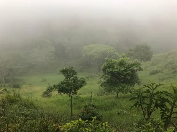 Finca-Rancho en venta en Rivera El Progreso, San Fernando — foto 2 de 10