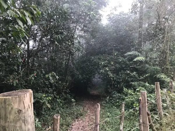 Finca-Rancho en venta en Rivera El Progreso, San Fernando — foto 3 de 10
