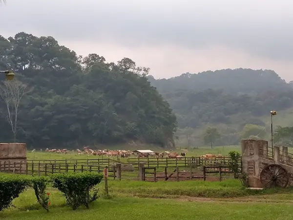 Se Vende Rancho en Ocozocoautla,  aledaño a Ocuilapa, para ganadería y siembra!!