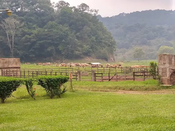 Finca-Rancho en venta en Ocuilapa de Juarez, Ocozocoautla de Espinosa — foto 3 de 46