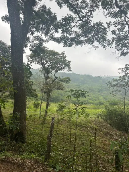 Terreno en venta en El Copalar, San Fernando — foto 3 de 18