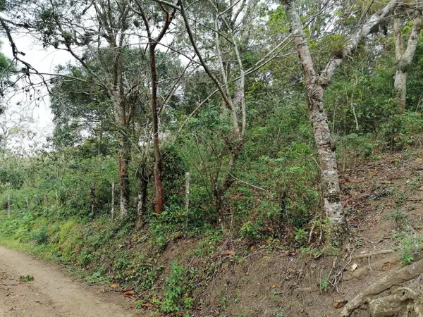 Terreno en venta en El Copalar, San Fernando — foto 2 de 18