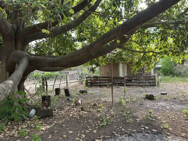 Finca-Rancho en venta en Narciso Mendoza, Chiapa de Corzo — foto 2 de 37