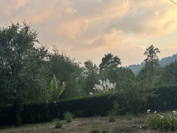 Terreno en venta en Los Alcanfores, San Cristóbal de las Casas — foto 2 de 15