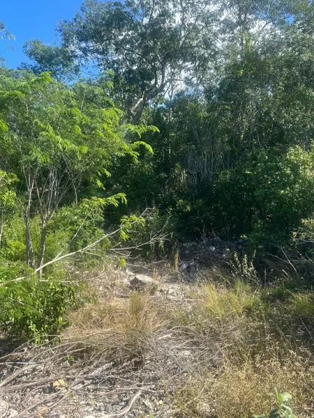 Terreno en venta en Hunucmá, Hunucmá — foto 3 de 3