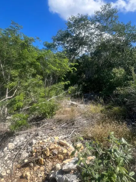 Terreno en venta en Hunucmá, Hunucmá — foto 2 de 3