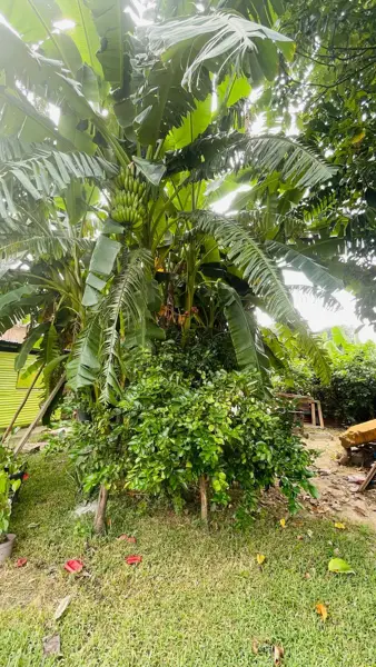 Terreno en venta en Nandambua 1a Sección, Chiapa de Corzo — foto 2 de 21