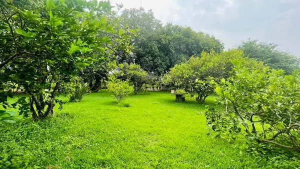 Terreno en Venta !Gran Oportunidad de inversión, en Nandabua 1ra, Sección