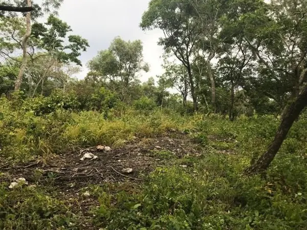 Terreno en venta en El Jobo, Tuxtla Gutiérrez — foto 2 de 8