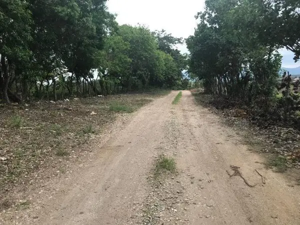 Se Venden Lotes de Terreno en el Jobo en zona privilegiada!!