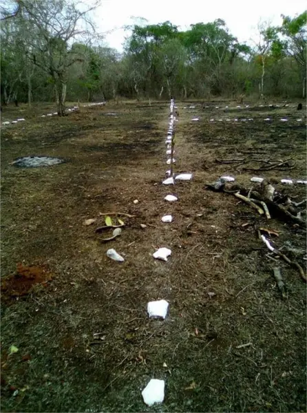 Terreno en venta en El Jobo, Tuxtla Gutiérrez — foto 3 de 8