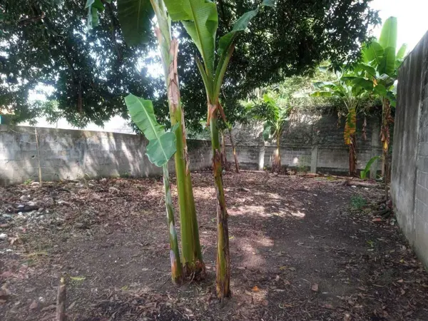 Terreno en venta en Melchor Ocampo, Cárdenas — foto 3 de 26