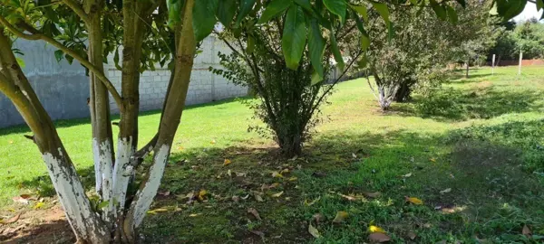 Terreno a la Venta, en los Alcanfores, San Cristóbal de Las Casas